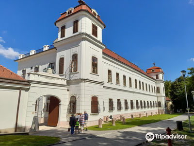 Esterházy-kastély
