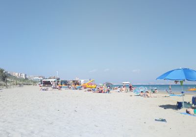 Playa del Carabasí