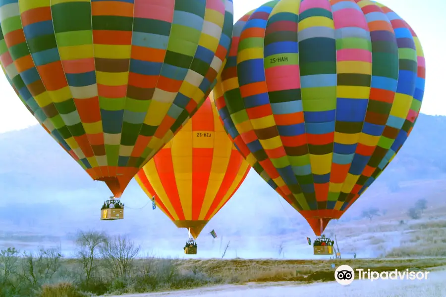 Bill Harrop's "Original" Balloon Safaris