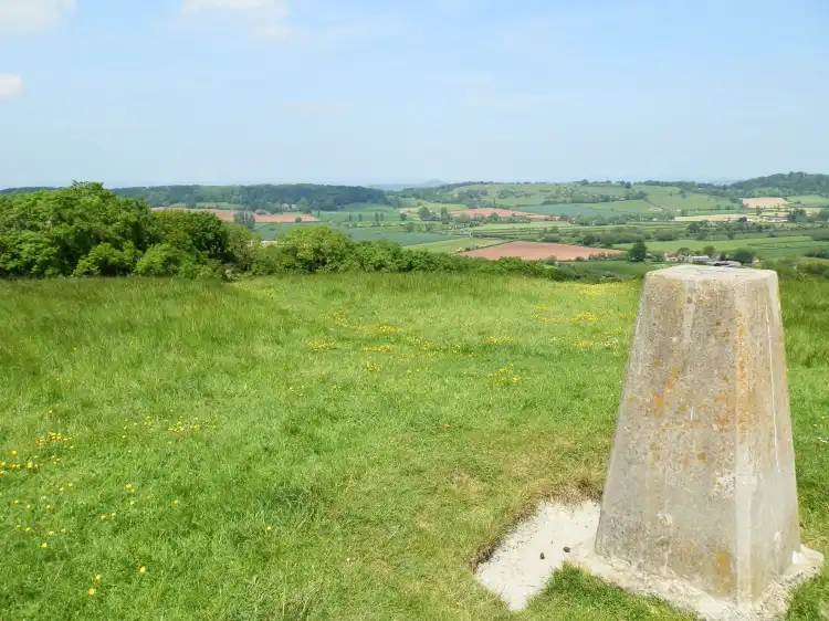 Hotels in Compton Dundon