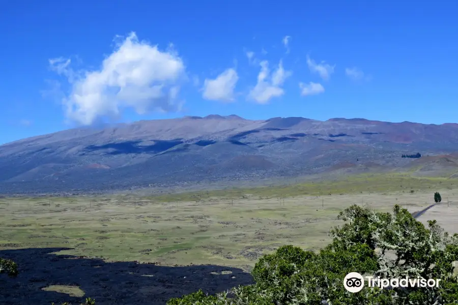 Kipuka Pu’u Huluhulu