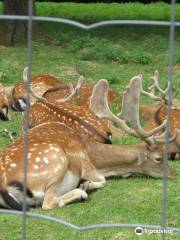 アニマリエ・ド・シャルルヴィル＝メジエール公園