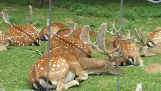 アニマリエ・ド・シャルルヴィル＝メジエール公園