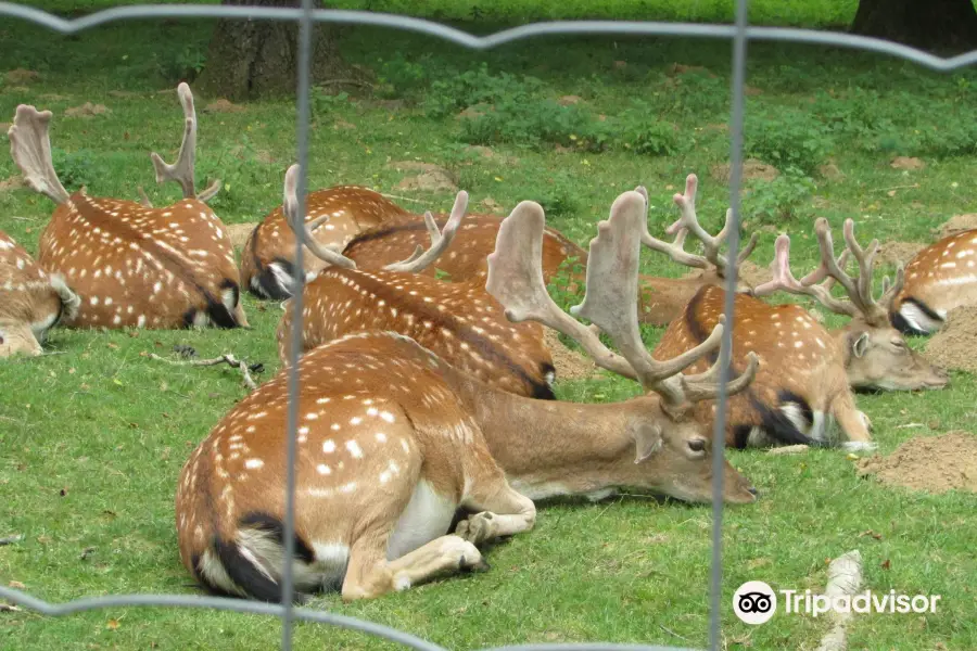 Parc Animalier