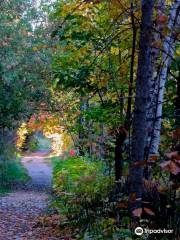 Brownstone Trail
