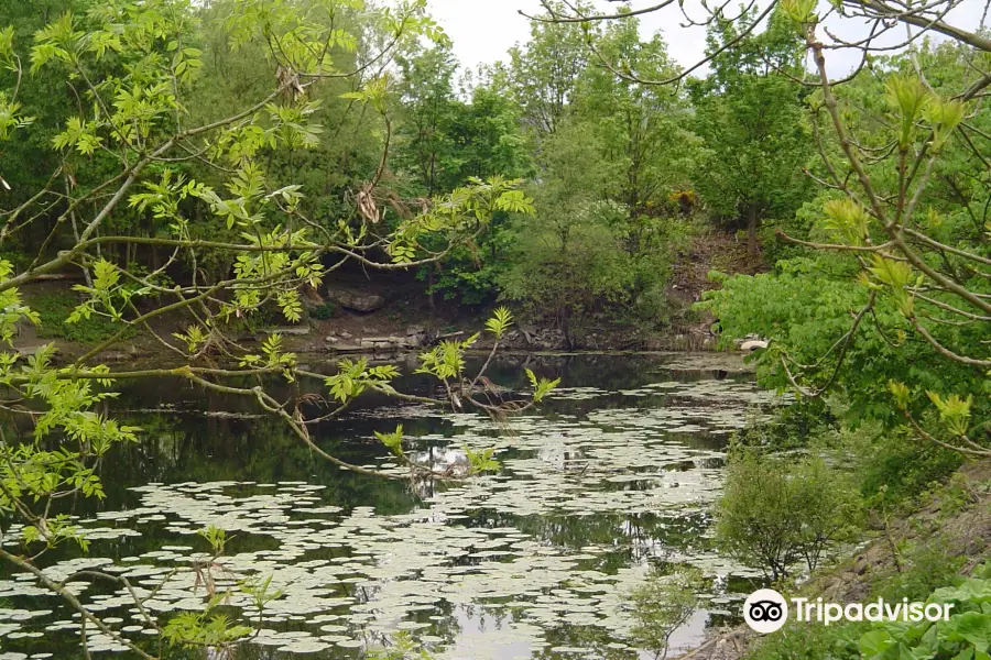 Ben Rhydding Gravel Pits Local Nature Reserve