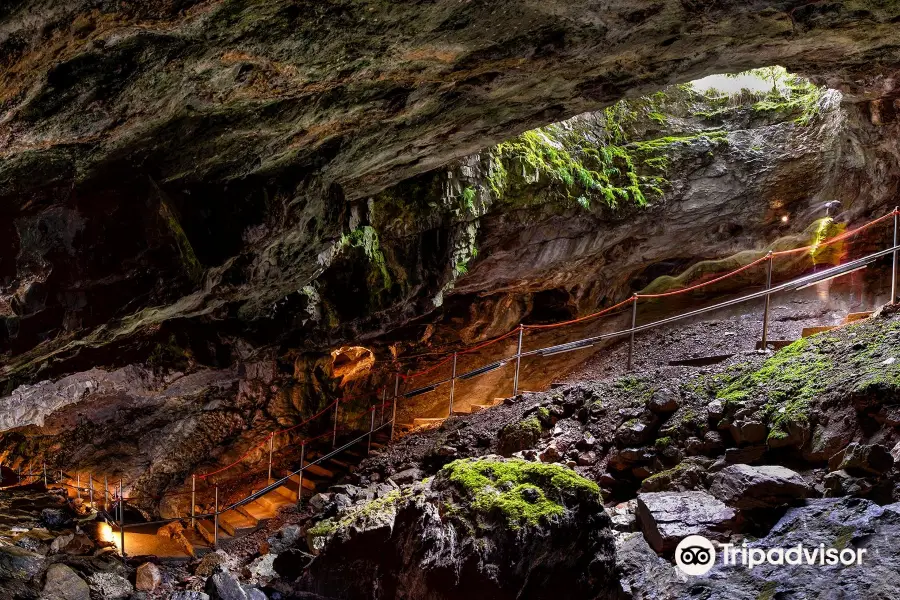 Cueva de las Guixas