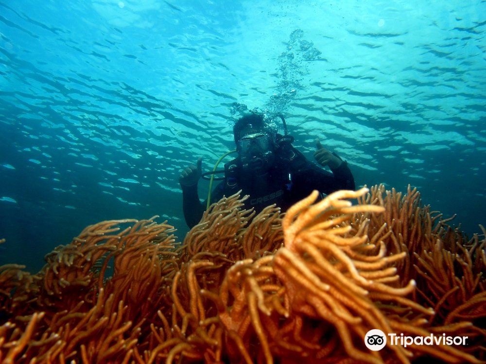 Vé máy bay Kendari Wangi-Wangi