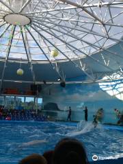 Dolphinarium Nemo