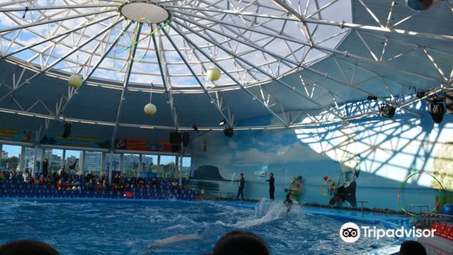 Dolphinarium Nemo