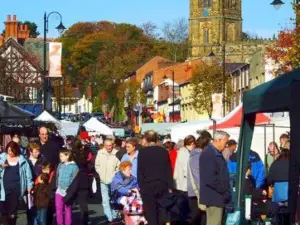 Mold Market