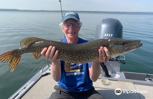斯普魯斯格羅夫