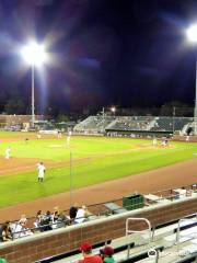 Melaleuca Field