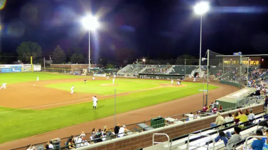 Melaleuca Field