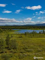 Yrjo Kokko bird watching tower