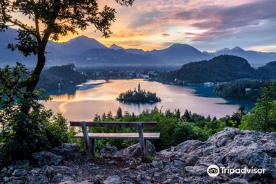 Ojstrica Viewpoint