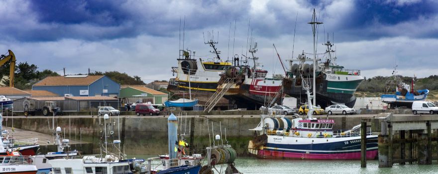 Le Port of the Cotiniere