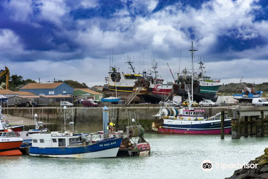 Le Port of the Cotiniere