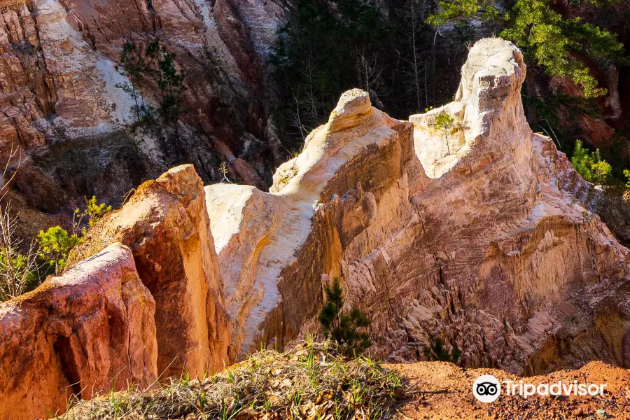 Providence Canyon State Park