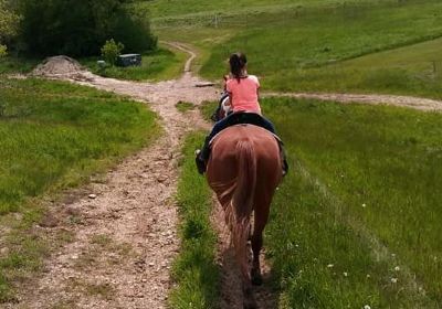 Dan Patch Stables