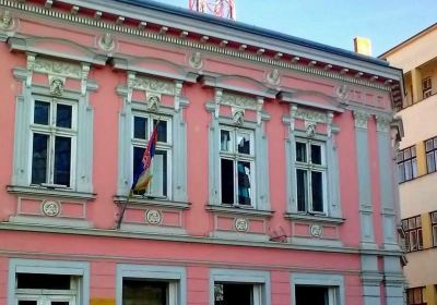 Public City Library Zrenjanin