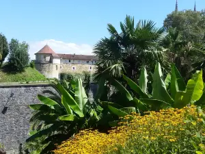 Jardin Botanique de Bayonne