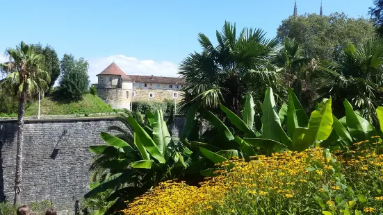 Jardin Botanique