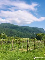 Winestronaut - Slovenia Wine Tours