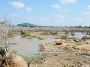 Roshan Safari