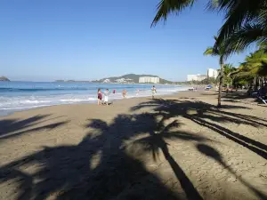 Playa el Palmar