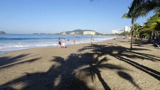 Playa el Palmar