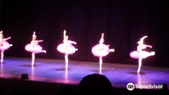 Municipal Theater Braz Cubas