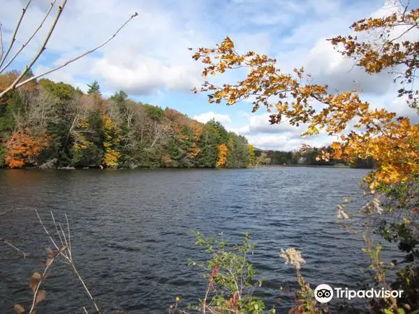 Woods Pond