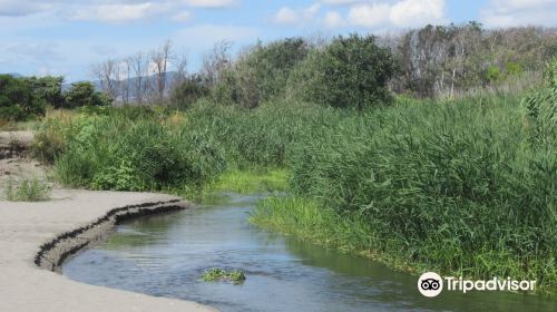 Oasi WWF Policoro Herakleia