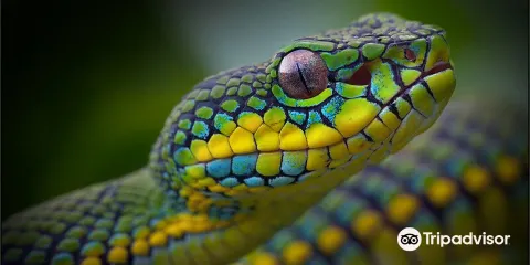 Reptilienzoo Nockalm