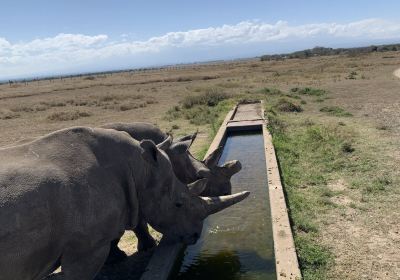 Ol Pejeta Conservancy