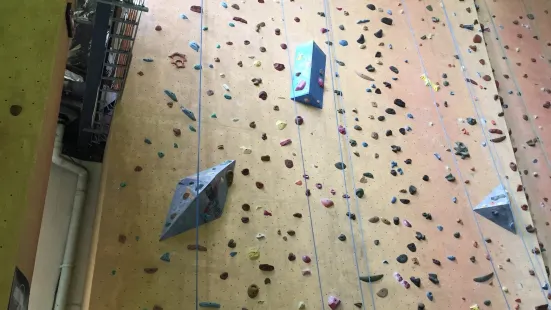 Sydney Indoor Climbing Gym