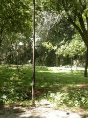 Recanto Municipal da Árvore (Bosque Maia)