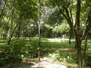 Recanto Municipal da Árvore (Bosque Maia)