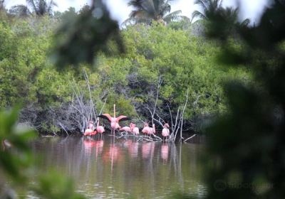 Puerto Villamil