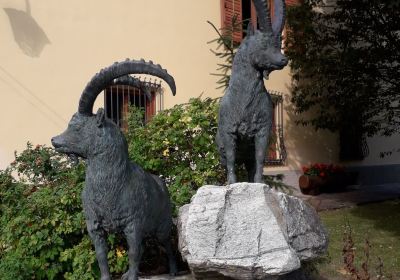 Alpenfauna Museum "Beck Peccoz" - Museo regionale della fauna alpina