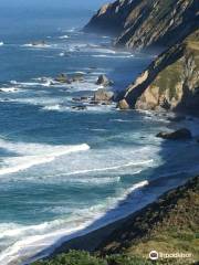 Tomales Point Trail