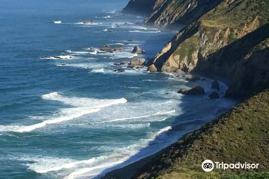 Tomales Point Trail