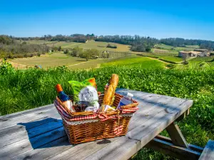 Château La Croizille, Saint-Emilion Grand Cru Classé