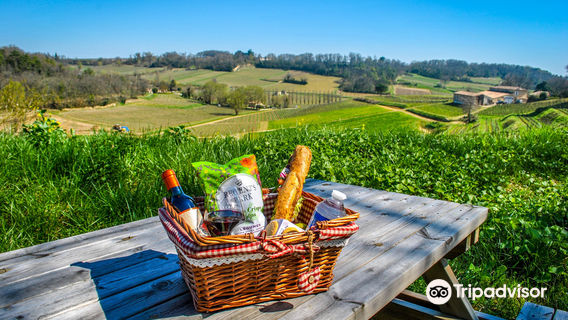 Château La Croizille