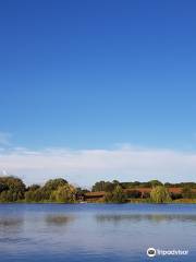 Baden Hall Fishery