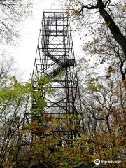 Aussichtsturm Kaiserberg