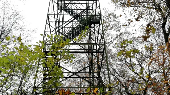 Aussichtsturm Kaiserberg