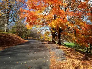 Gypsy Hill Park