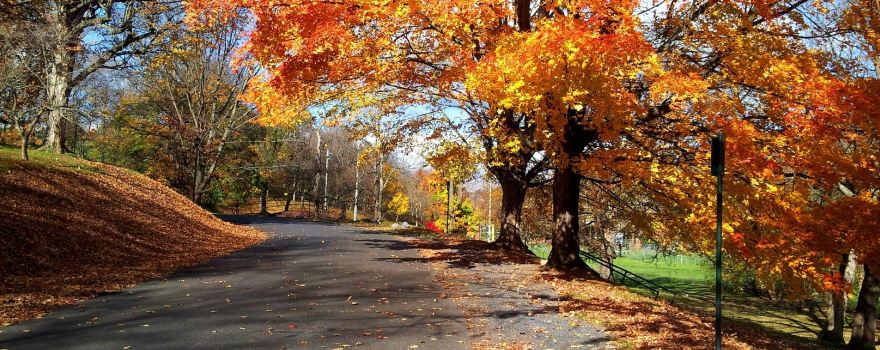 Gypsy Hill Park